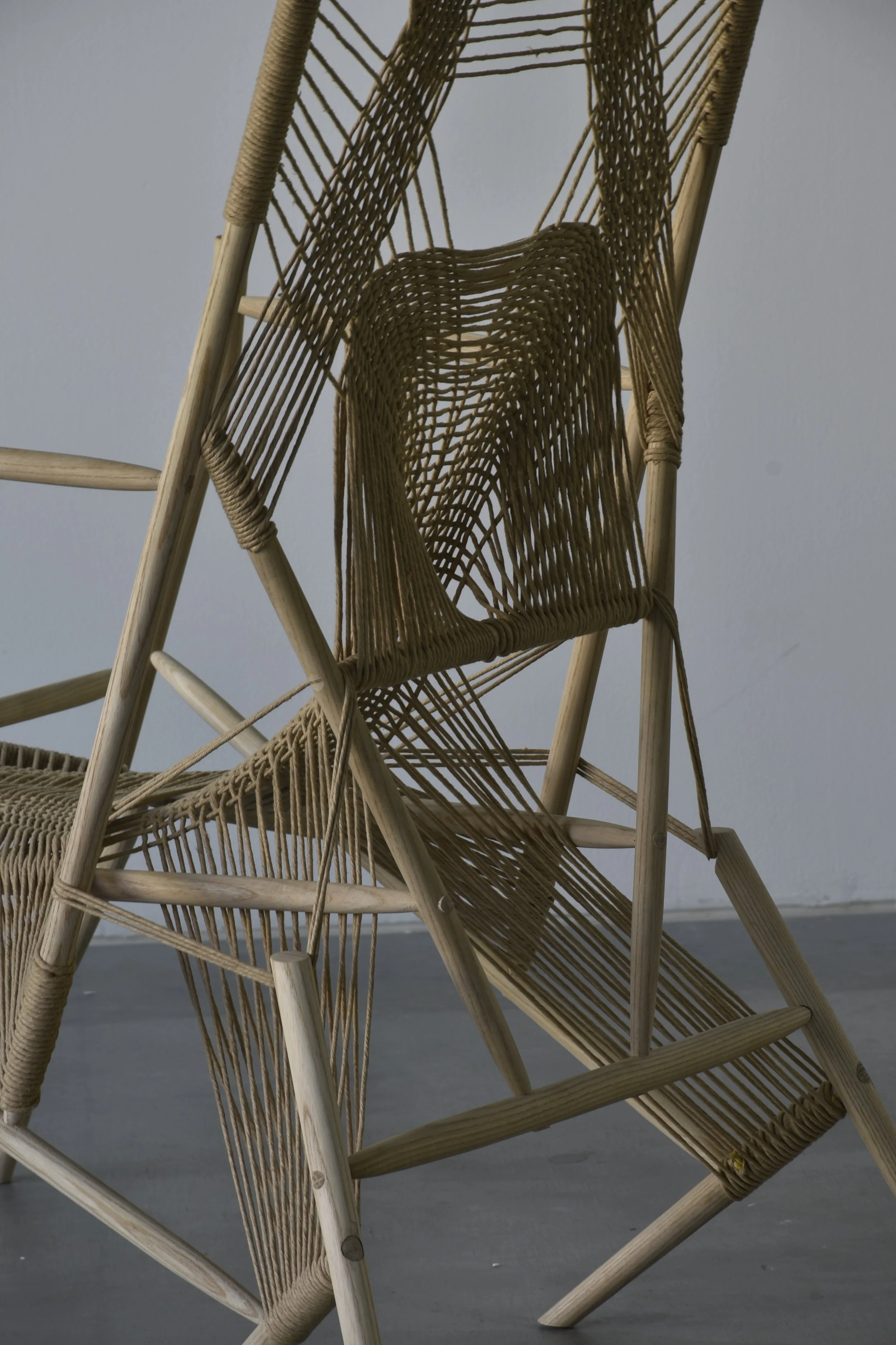 2025卒業制作「TRICERATOPS」by Tatsuya Shimamura — IDREIT